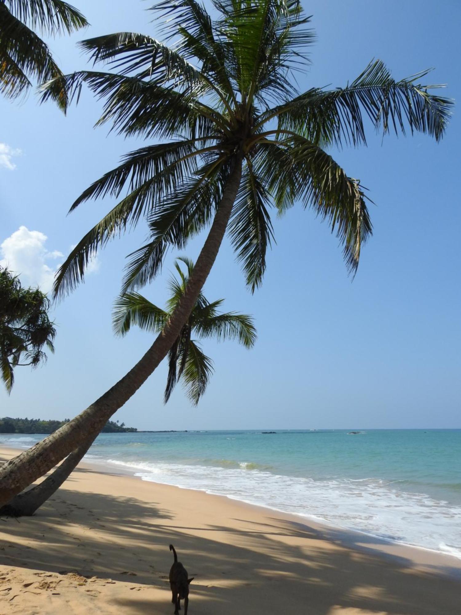 Tropical Oasis بيت للعطل بالابيتييا